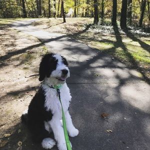 Meet your Posher, Anne